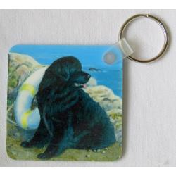 Newf 3 key ring side 2 